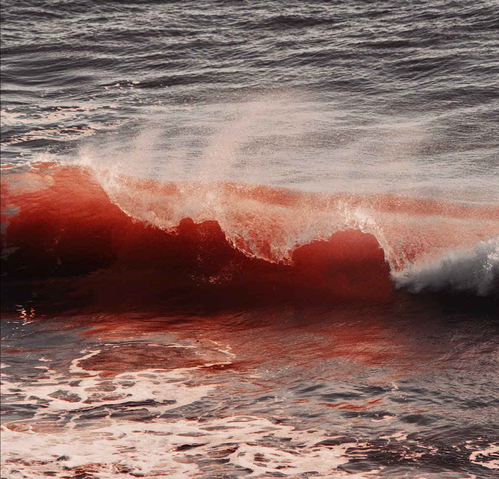 Susana Galbis - El mar en sangre #4.3