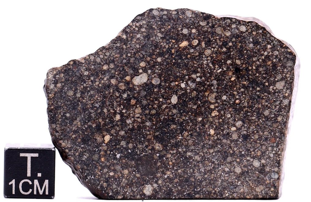 NWA 13309 LL3.15 Chondrite Meteorite - 62.5 g - (1) #1.0