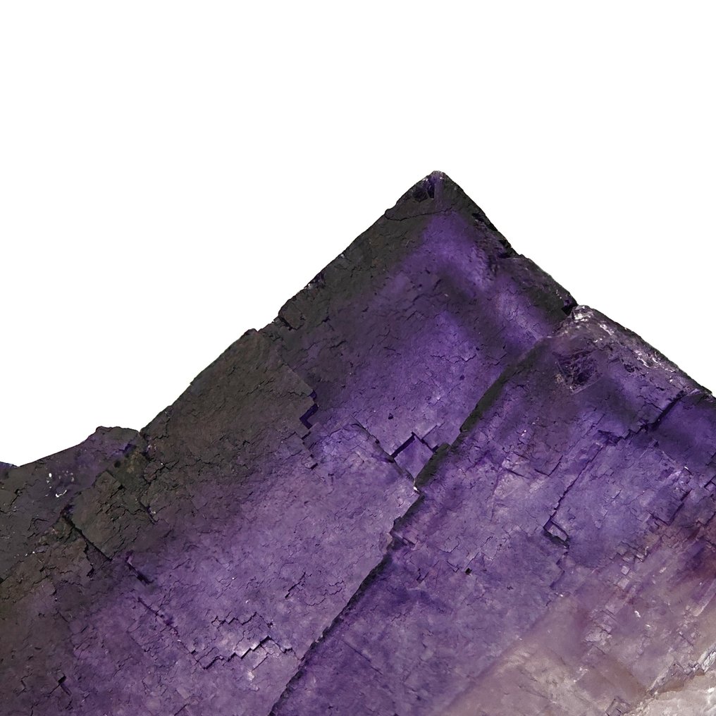 FLUORITE VIOLA, Cristallo a SCALINI, fantasmi, USA Krystaller i indlejring - Høyde: 61 mm - Bredde: 36 mm- 74 g #4.3