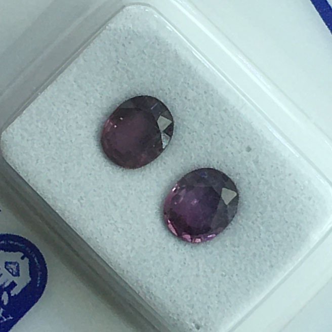 Zonder minimumprijs - 2 pcs Paars Saffier - 1.36 ct - Antwerp Laboratory for Gemstone Testing (ALGT) - Natuurlijke saffier #3.2