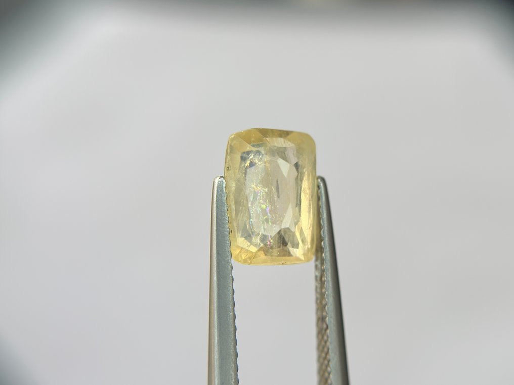 Sans prix de réserve - 1 pcs Jaune Saphir - 3.49 ct - Bellerophon Gemlab - Rare Burma stable jaune #3.2