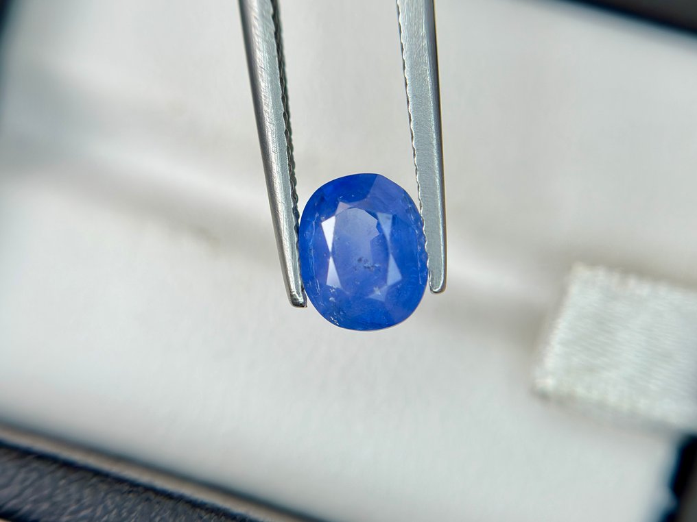Nincs minimálár - 1 pcs Kék Zafír - 1.87 ct - Bellerophon Gemlab - Ceyloni zafír #4.3