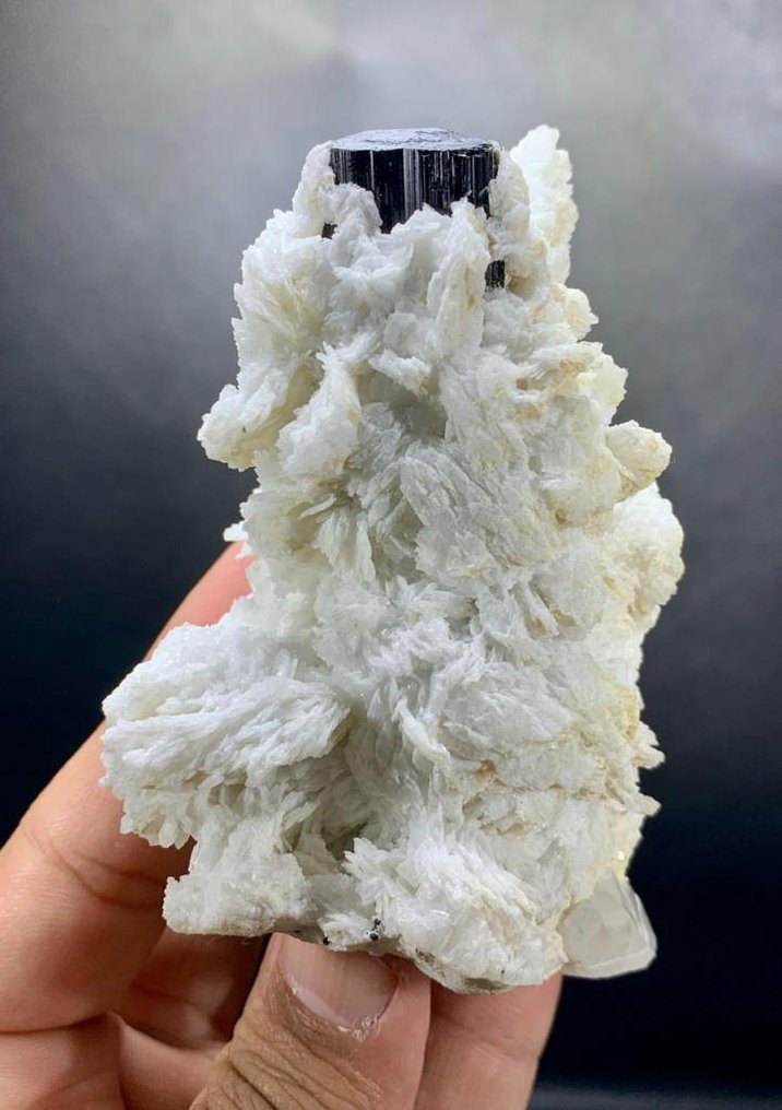 天然巨大电气石晶体，伴有白云母和长石，附着基质 標本 - 高度: 96 mm - 闊度: 65 mm- 264 g - (1) #1.0