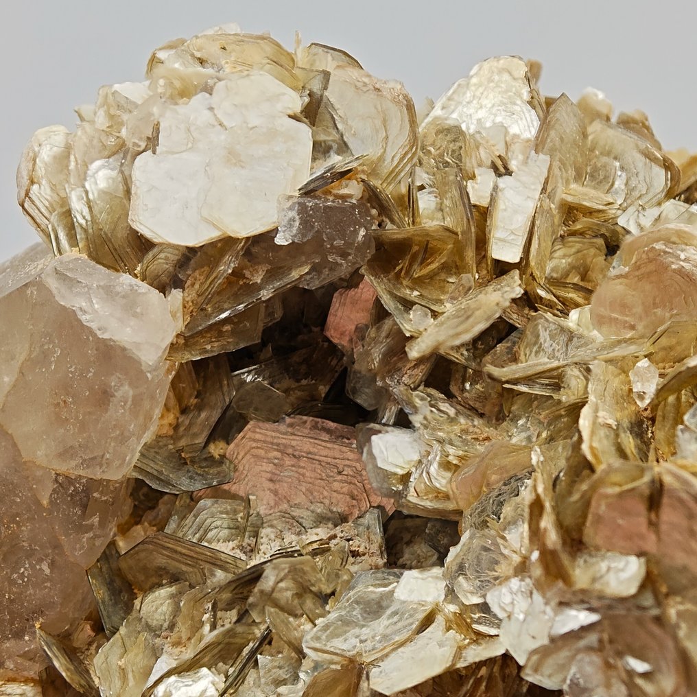 金色莫斯科闪长岩云母花，花瓣状水晶 矩陣晶體 - 高度: 93 mm - 闊度: 75 mm- 185 g - (1) #3.2