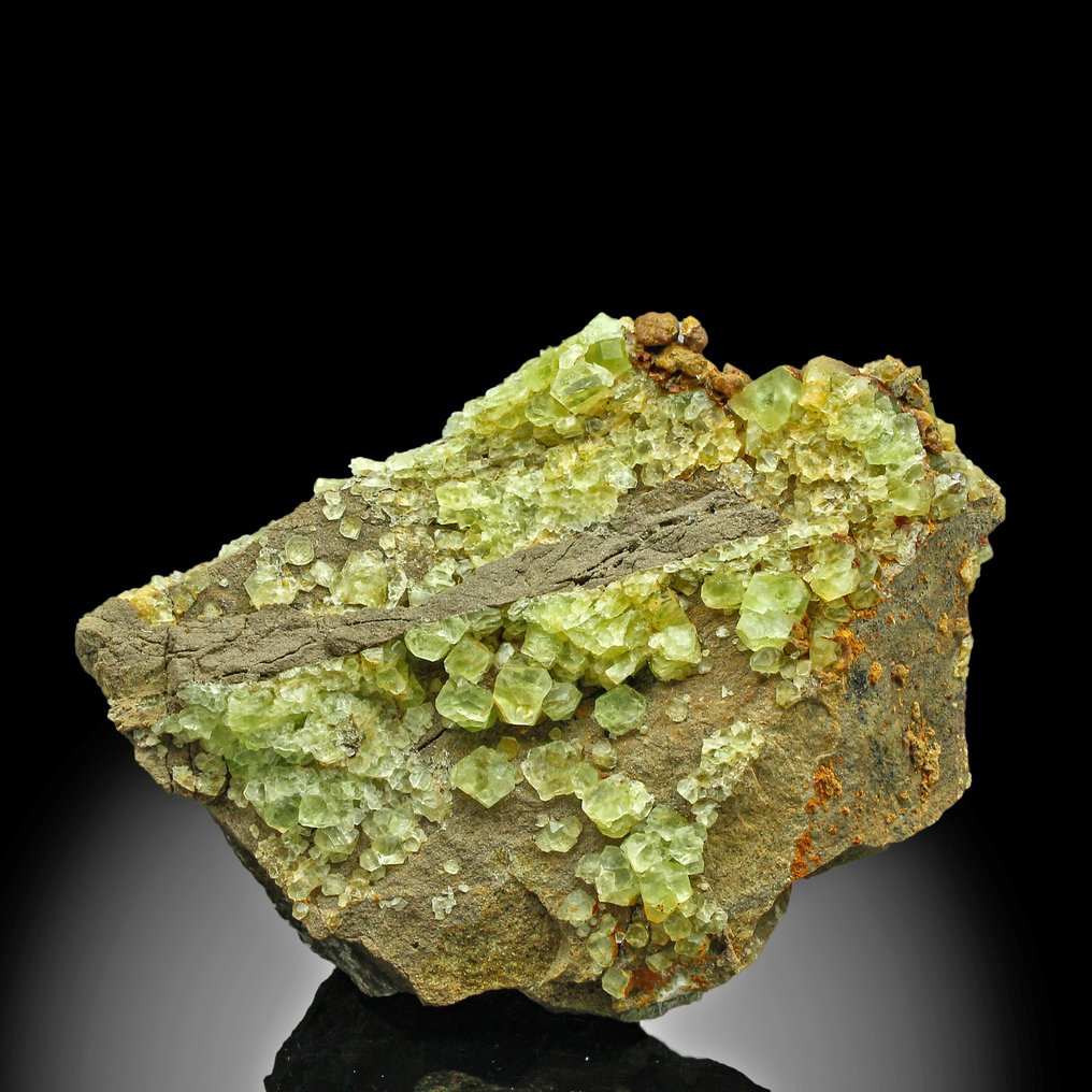 Museum-Grade Fluorite Crystals on matrix - Height: 23 cm - Width: 8 cm- 2.72 kg #1.0