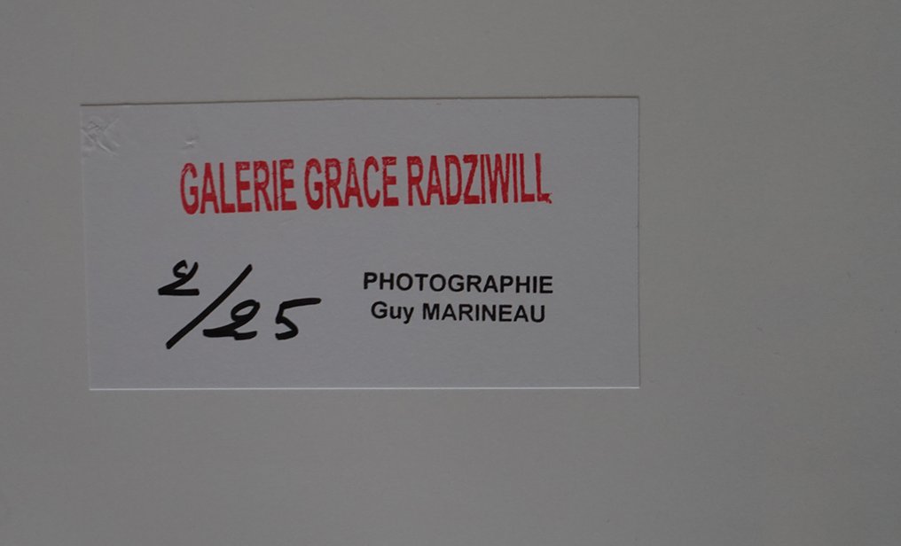 Guy Marineau (1947–) - Niki de Saint Phalle #3.2