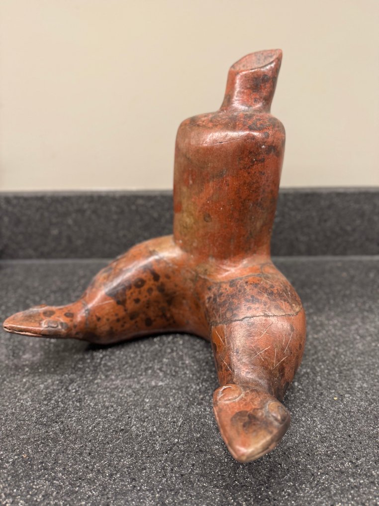 Γλυπτό από πηλό, προκολομβιανό σαλανό. - Πολιτισμός Κολίμα - Μεξικό #1.0