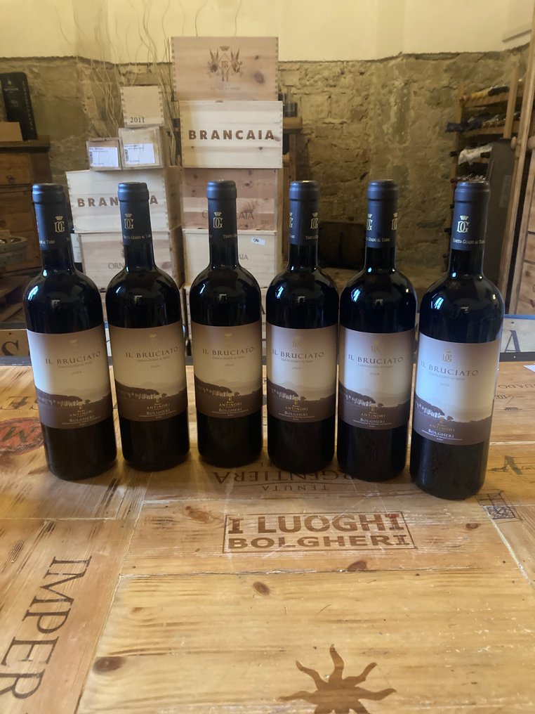 2024 Antinori, Il Bruciato - Bolgheri DOC - 6 Pullo (0.75L) #1.0