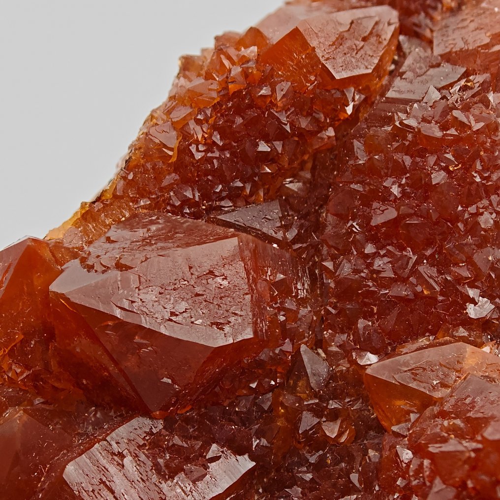 CACTUS 由红血玉石组成,优雅 矩陣晶體 - 高度: 105 mm - 闊度: 47 mm- 127 g - (1) #3.2