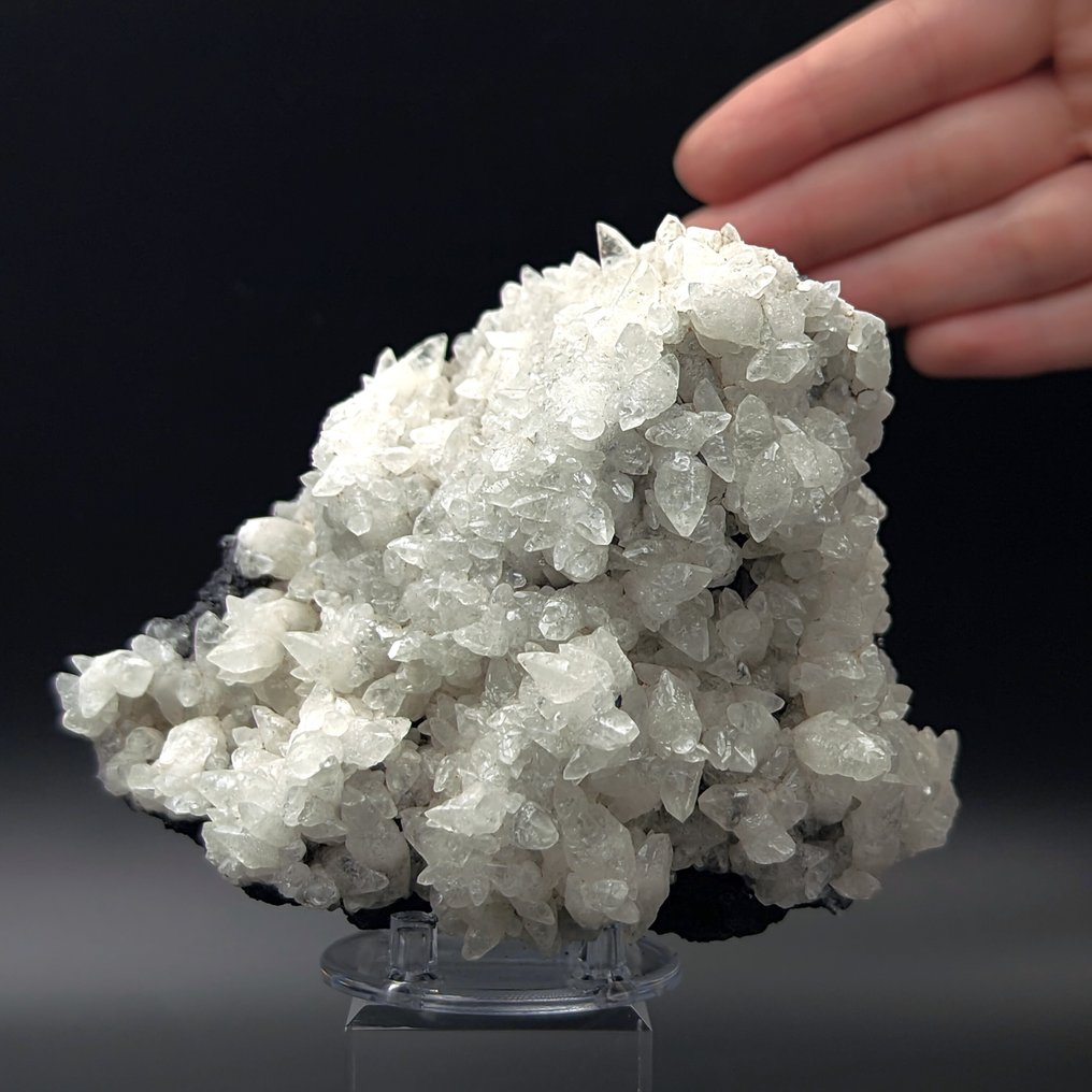 Elegant 100+ weiße Kalksteine auf GALENA, Sardinien Kristalle auf Muttergestein - Höhe: 124 mm - Breite: 104 mm- 831 g #1.0