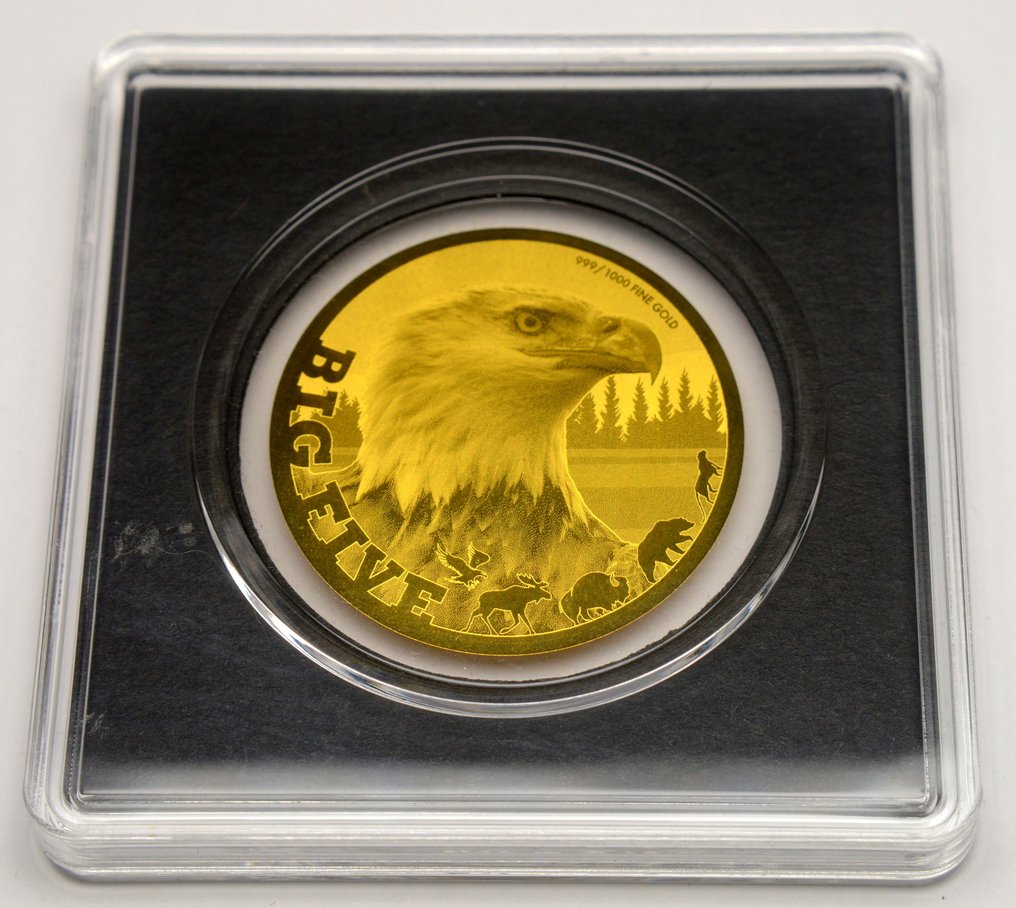 乍得. 5000 Francs 2020 Big Five - Bald Eagle - 1/200oz (.999) (没有保留价) #1.0