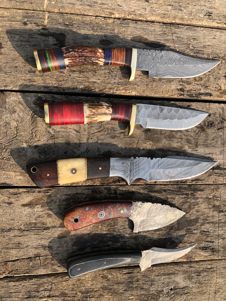 Kitchen knife - Prestigious Handmade Skinners Knives, Forged Steel, Stag Horn, Wood & Rare Handle - North America - Leather Sheaths (A46) #1.0