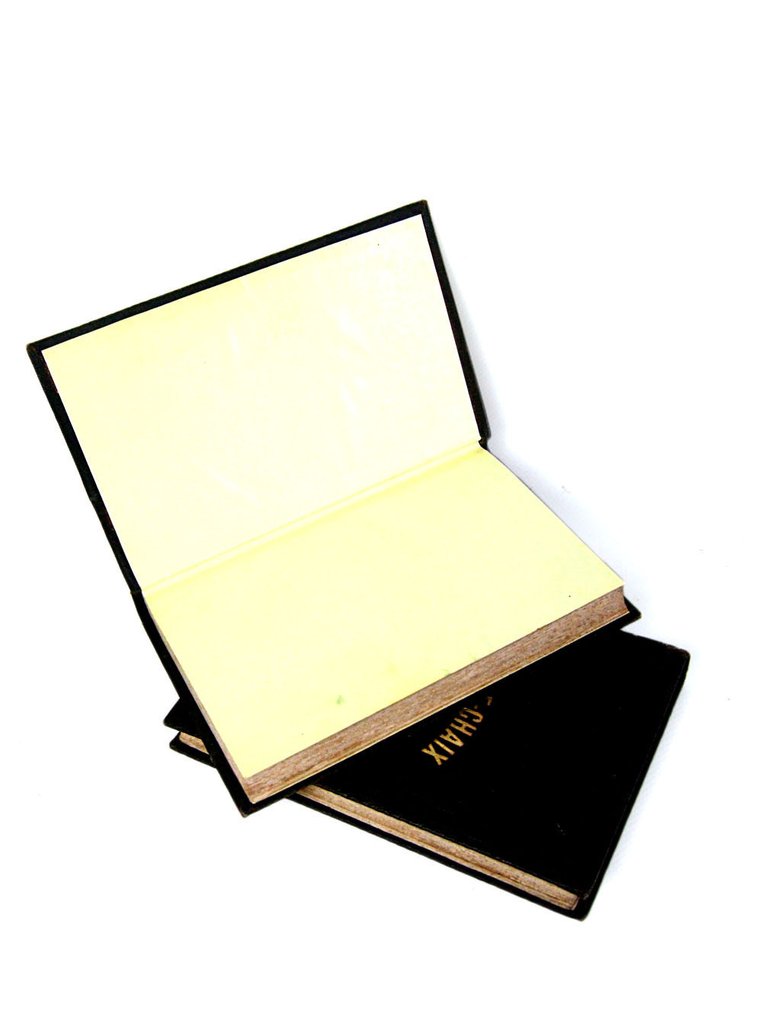 Napoléon Chaix / N. de Lajolais - Guide-Chaix. Nouveau Guide de Paris à Strasbourg et à Bâle, Etude historique et descriptive de - 1852 #1.0