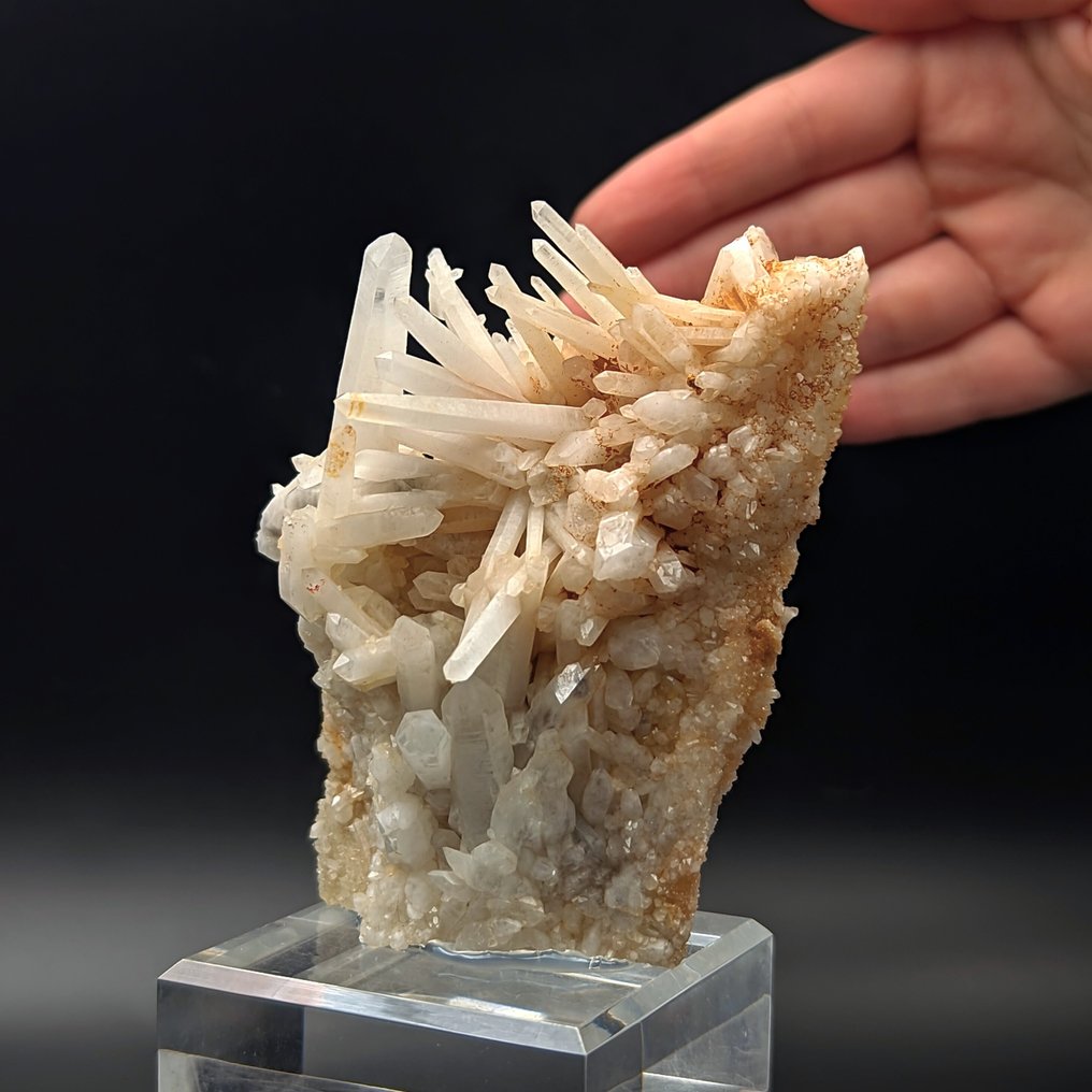 Intreccio of MILKY QUARTZ, Sardinia, Rare and Unobtainable Crystals on matrix - Height: 123 mm - Width: 78 mm- 211 g #1.0