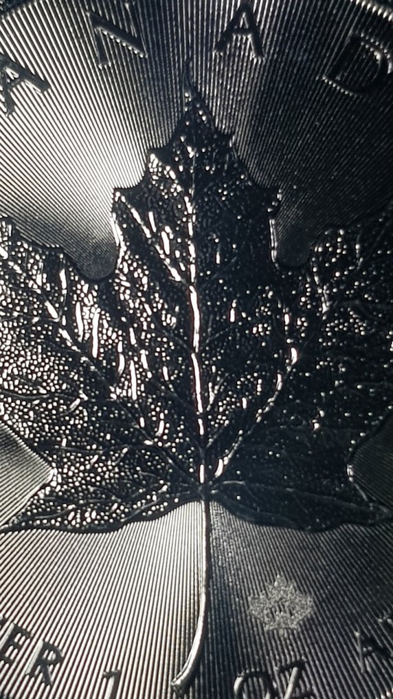 Καναδάς. 5 Dollars 2019 Maple Leaf 1 Oz (χωρίς τιμή ασφαλείας) #1.0