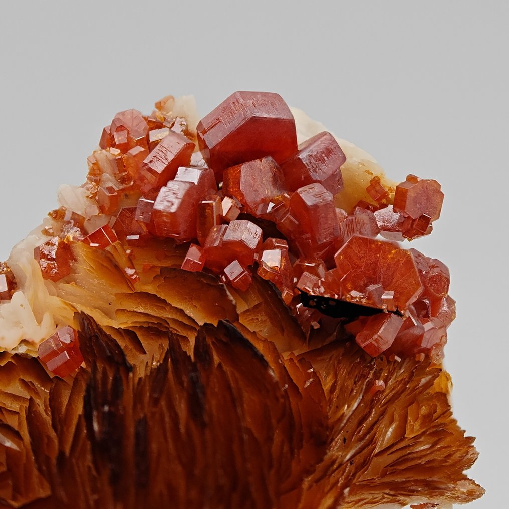 Blood-red vanadinite storm on orange barite Crystals on matrix - Height: 58 mm - Width: 42 mm- 107 g #1.0