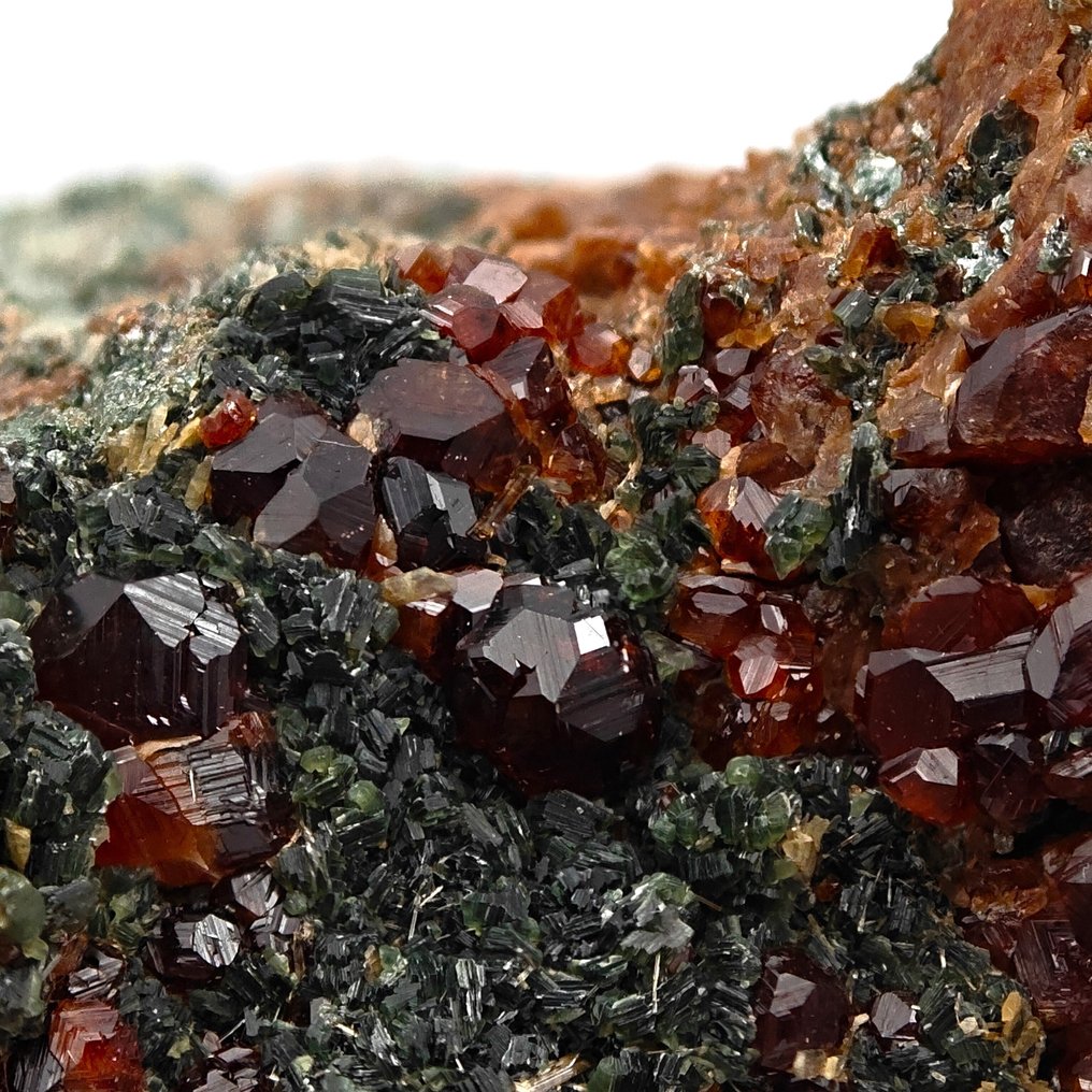 Hessonite garnet red with clinochlore, Italy. Crystals on matrix - Height: 53 mm - Width: 50 mm- 77 g #4.3