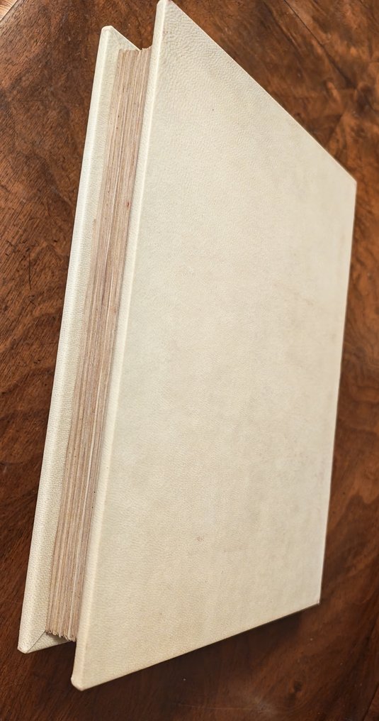 Manuel Moleiro, Marie-Thérèse Gousset, Marianne Besseyre - L'Apocalypse 1313 - 2006 #1.0