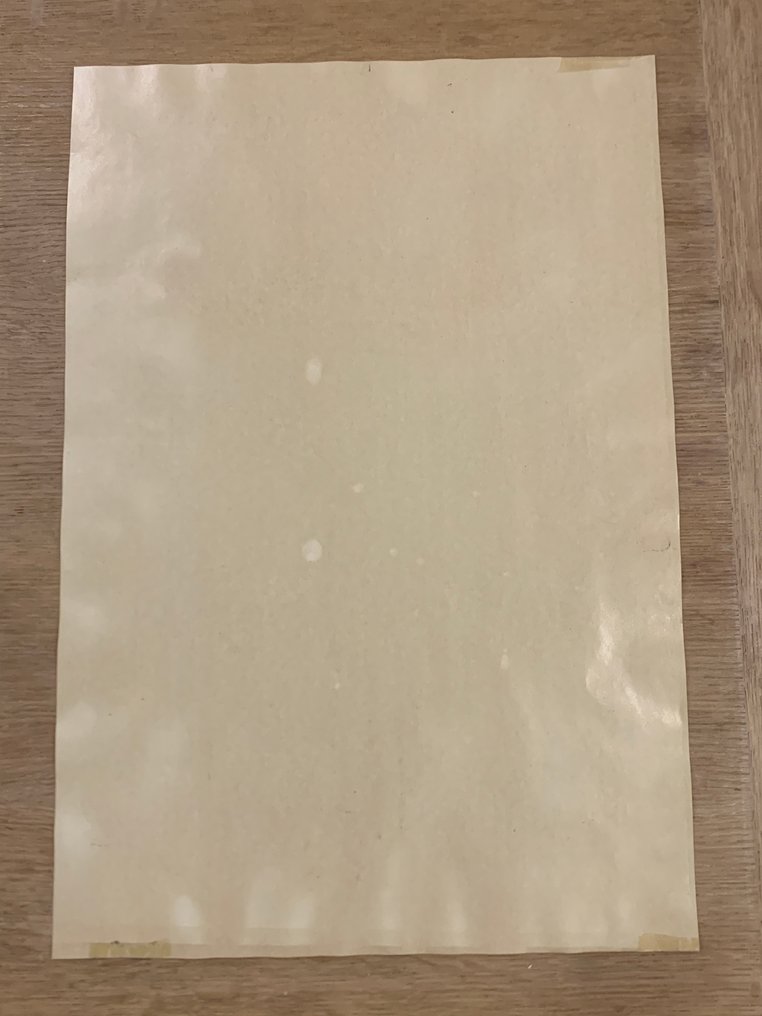 James Ensor - James Ensor - Exposition Salon des Cent 1898 #4.3