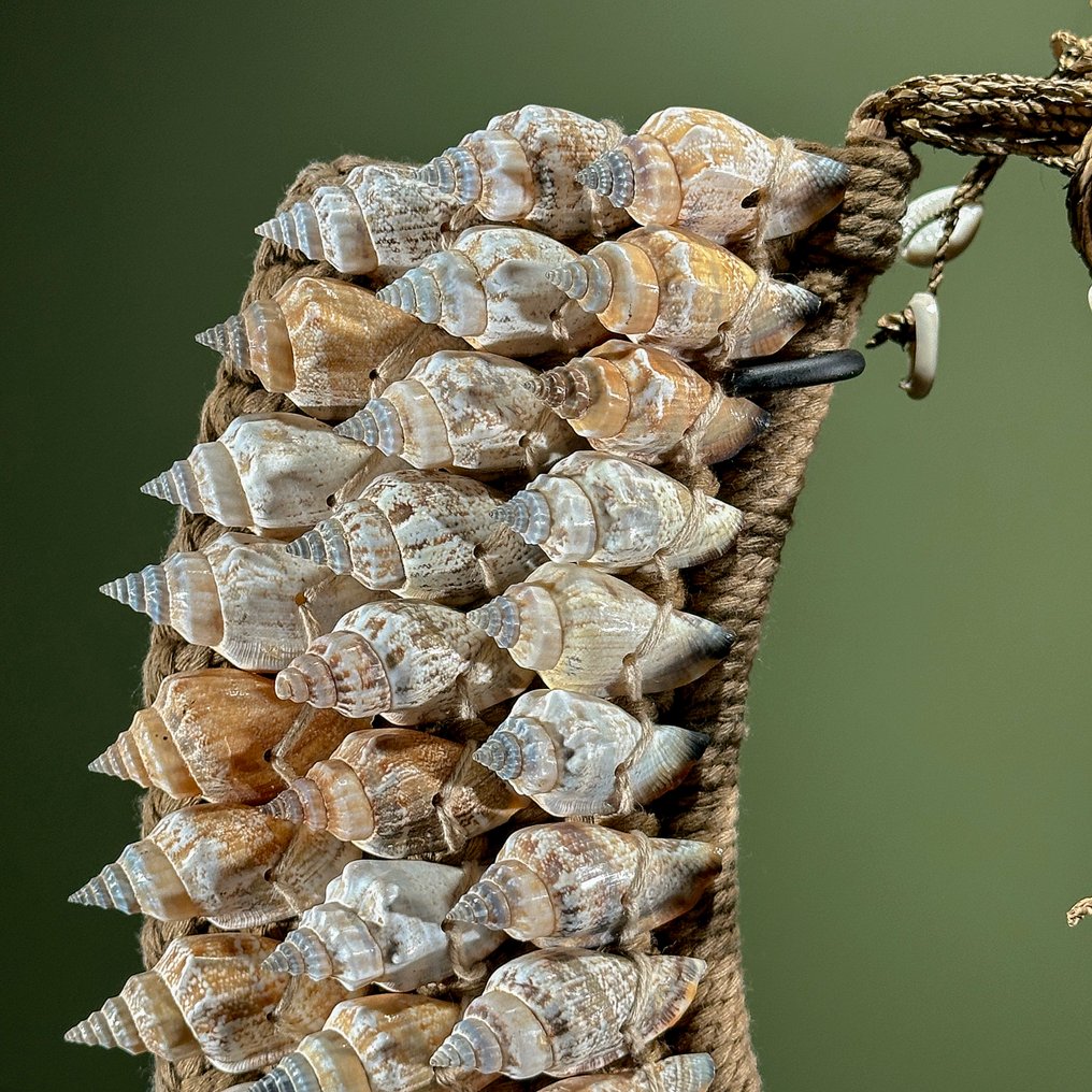 Adorno decorativo - NO RESERVE PRICE - SN8 - Decorative Shell Necklace on a custom stand - Papúa Nueva Guinea #4.3
