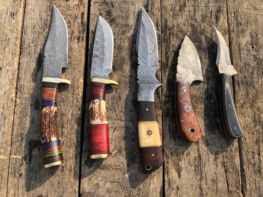 Kitchen knife - Prestigious Handmade Skinners Knives, Forged Steel, Stag Horn, Wood & Rare Handle - North America - Leather Sheaths (A46) #1.0