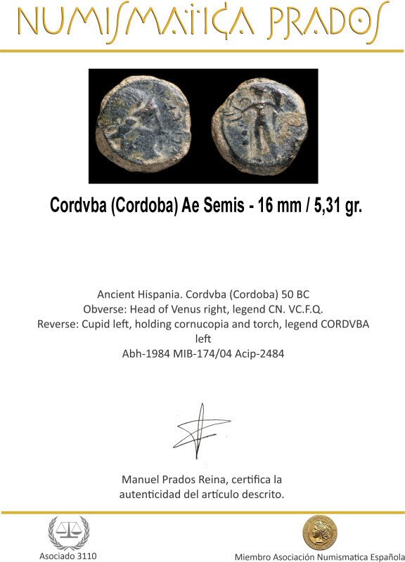羅馬帝國 （省） Semis Cordvba (Cordoba) minted between Julius Caesar and Pompeius sons (Civil War-44-55 B.C.)  (沒有保留價) #1.0