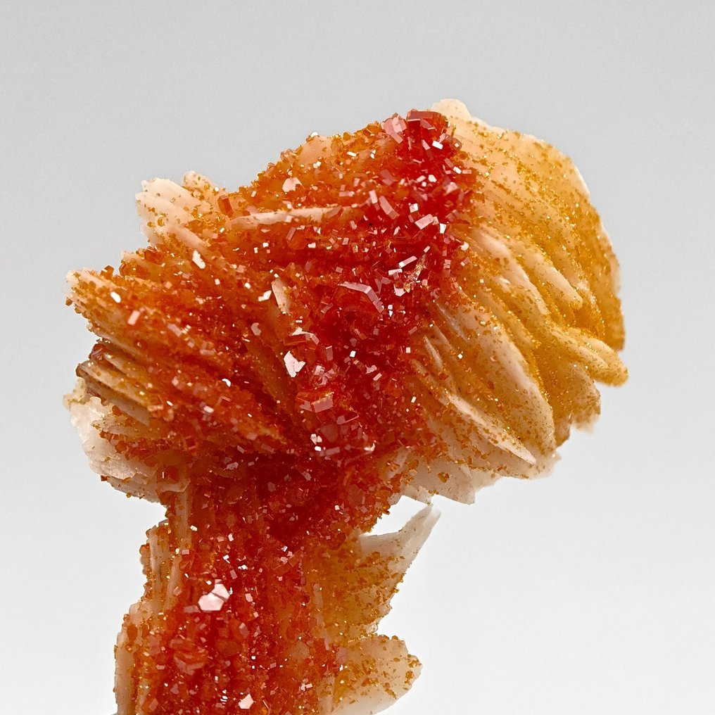 Καταιγίδα από ΚΟΚΚΙΝΗ ΒΑΝΑΔΙΝΙΤΗ αίματος πάνω σε ΛΕΥΚΗ ΒΑΡΙΤΗ Κρύσταλλοι στη μήτρα - Ύψος: 47 mm - Πλάτος: 35 mm- 32 g #1.0