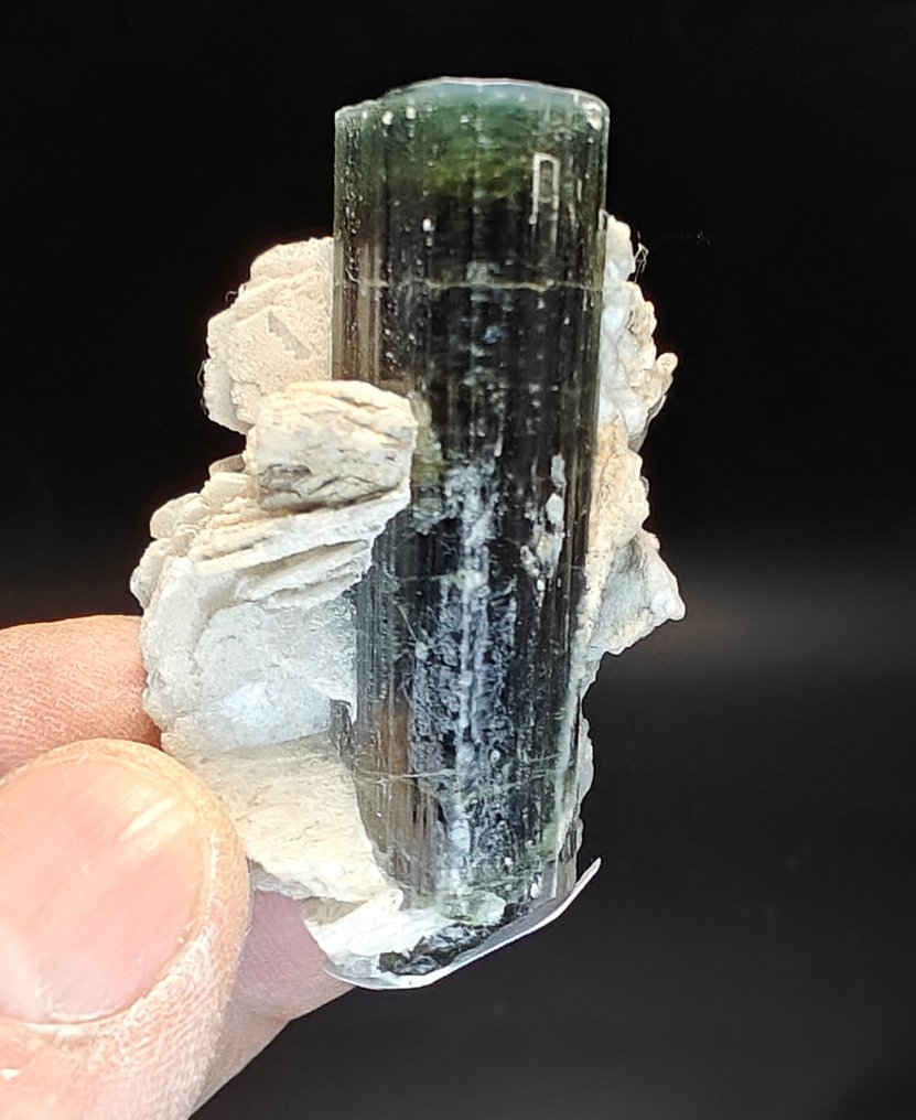 Elbaite tourmaline Green-headed crystal - Height: 5 cm - Width: 3 cm- 44 g #2.1