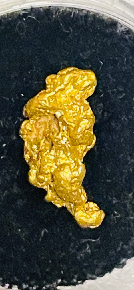 Gold Nugget- 1.96 g - (1) #1.0