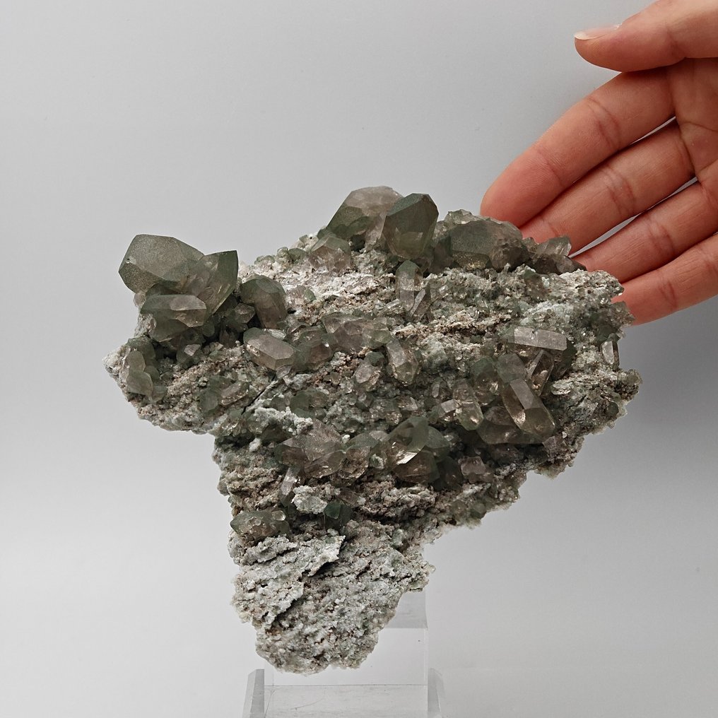 Grosso Cluster di QUARZO con CLORITE VERDE, Svizzera Cristalli su matrice - Altezza: 157 mm - Larghezza: 108 mm- 454 g #1.0