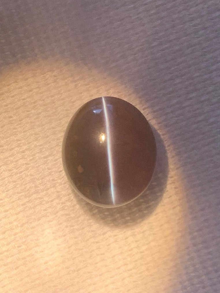 1 pcs  棕色, 绿色, 红色, 紫色 紫翠玉  - 6.70 ct - 美国宝石研究院（GIA） #1.0