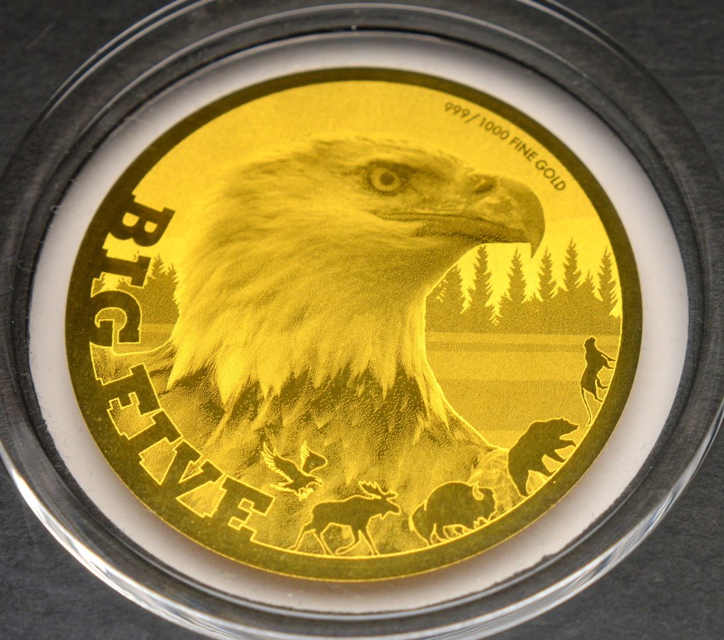 乍得. 5000 Francs 2020 Big Five - Bald Eagle - 1/200oz (.999) (没有保留价) #1.0