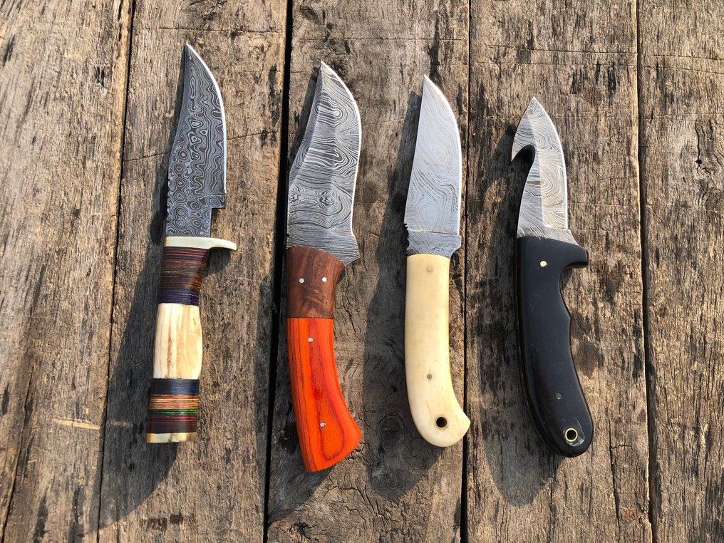 厨刀 - 著名的手工制作Skinners刀，锻钢，鹿角和稀有手柄 - 北美 - 皮革鞘（A22） #4.3