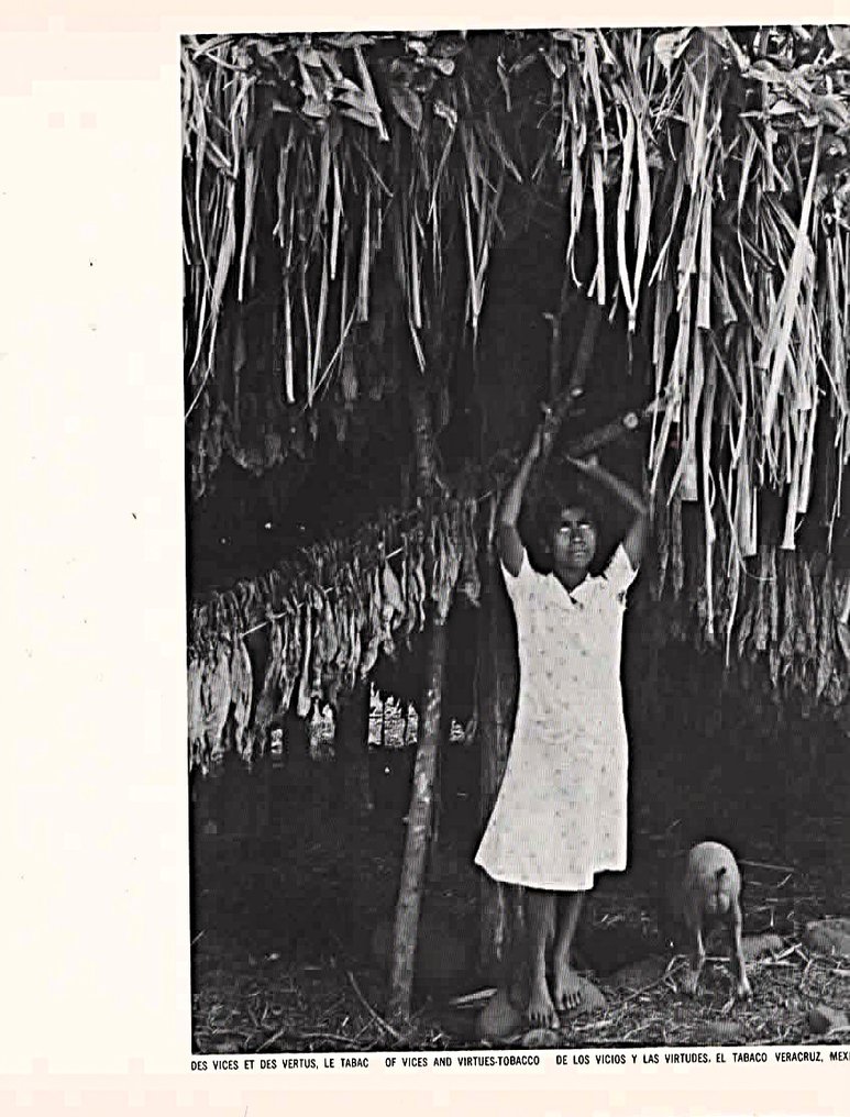 Manuel Alvarez Bravo - Manuel Alvarez Bravo - 1968 #1.0