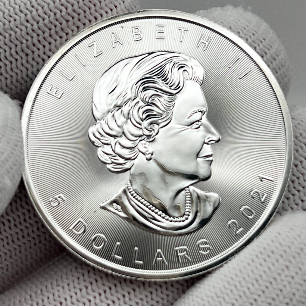 Canadá. 5 Dollars 2020 – Canada’s Wildlife – Snowy Owl (Coin #4) – 1 oz Silver coin .9999 – Colorized #3.2