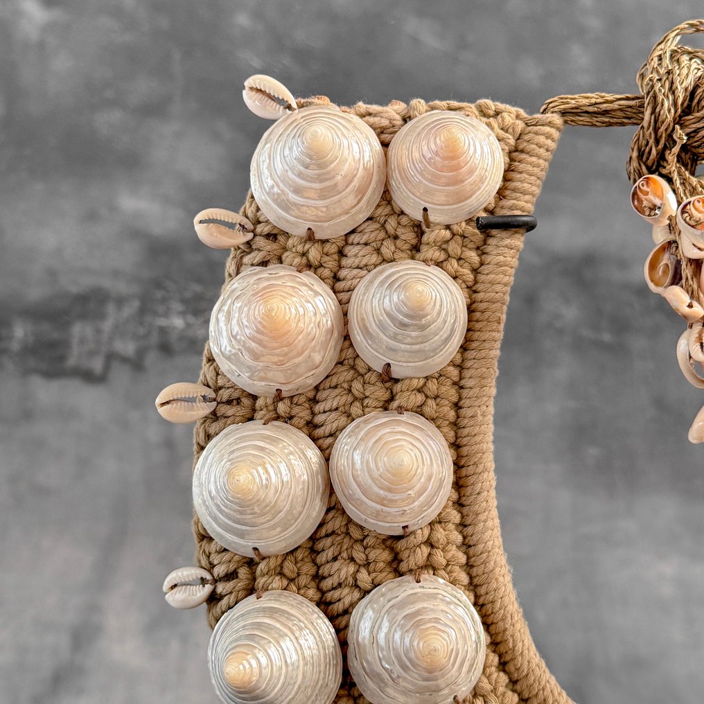 Ornament decorativ - NO RESERVE PRICE - SN13 - Decorative shell necklace on a custom stand - Papua Noua Guinee #3.2