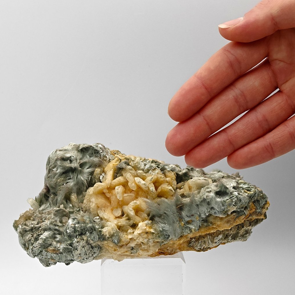 Hairy bissolite with white adularia, Alps, Mont Blanc Crystals on matrix - Height: 124 mm - Width: 68 mm- 397 g #1.0