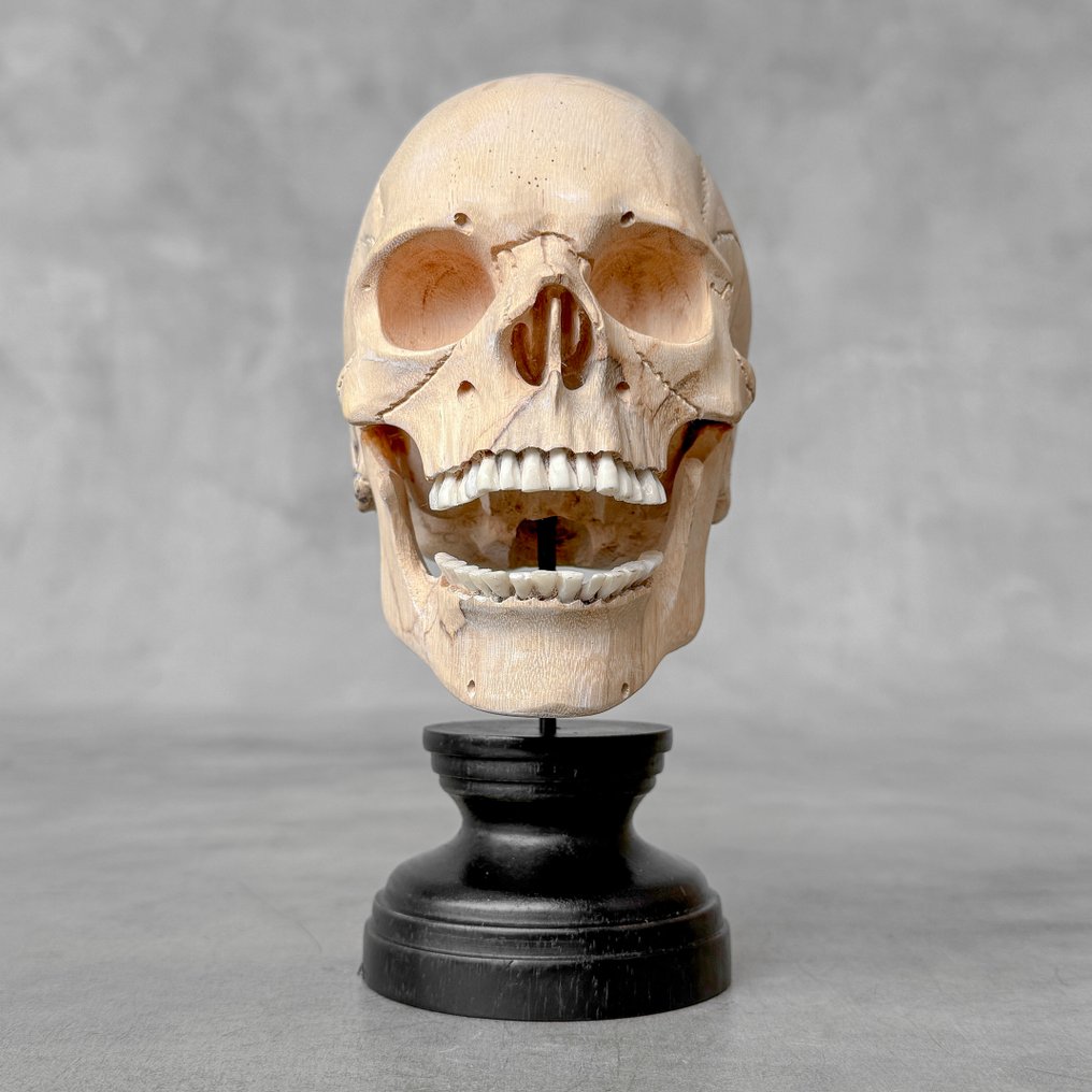 Σκάλισμα, NO RESERVE PRICE - Stunning Wooden Human Skull With A Beautiful Grain on a custom stand - 18 cm - Tamarindus - 2025 #3.2