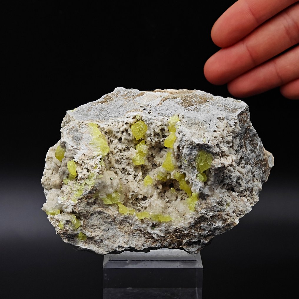 GEODE af gult zolf med hvid aragonit, Sicilien Geode - Højde: 95 mm - Bredde: 68 mm- 356 g #1.0