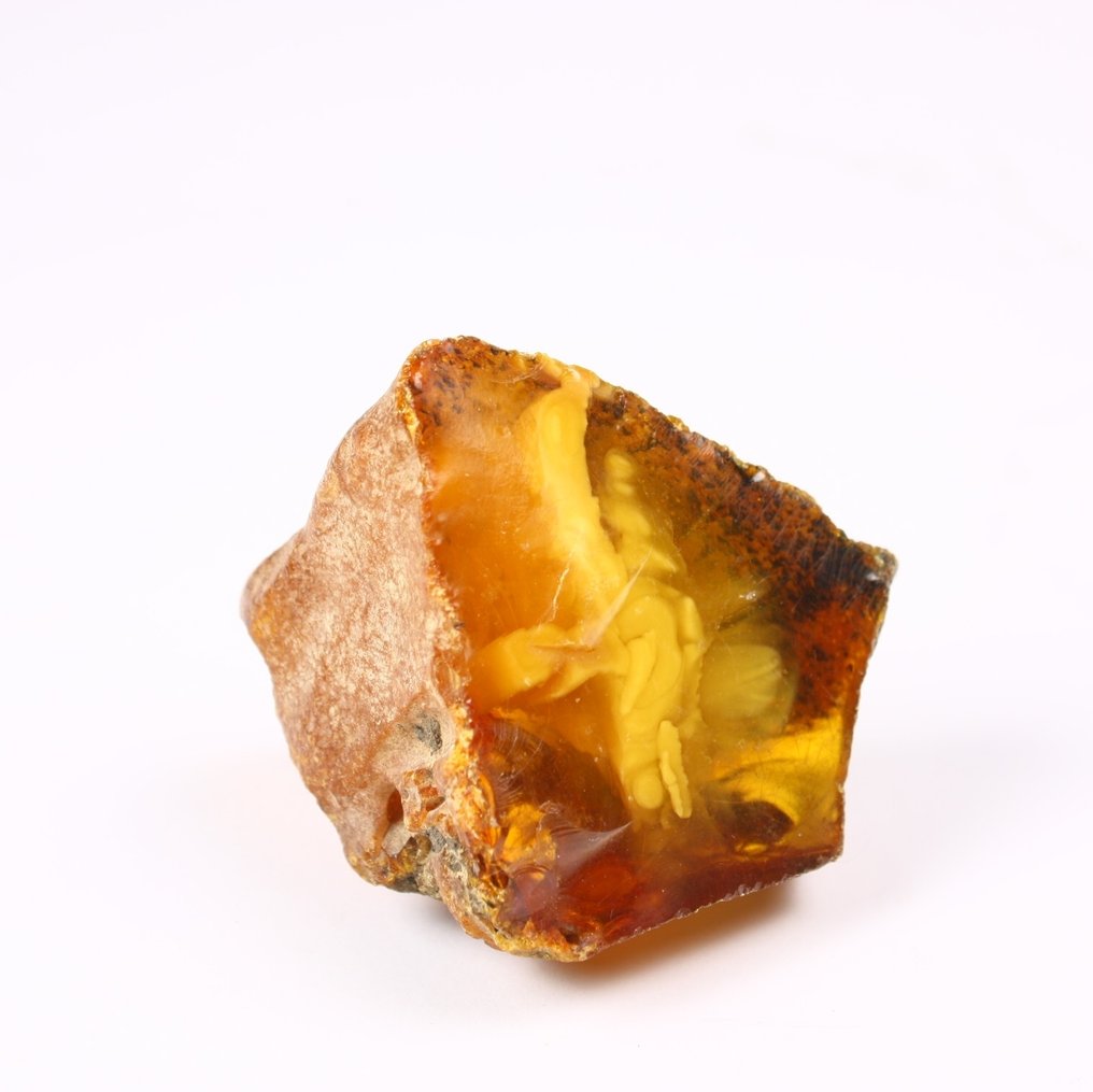 Amber Specimen - Height: 35 mm - Width: 50 mm- 27 g - (1) #1.0