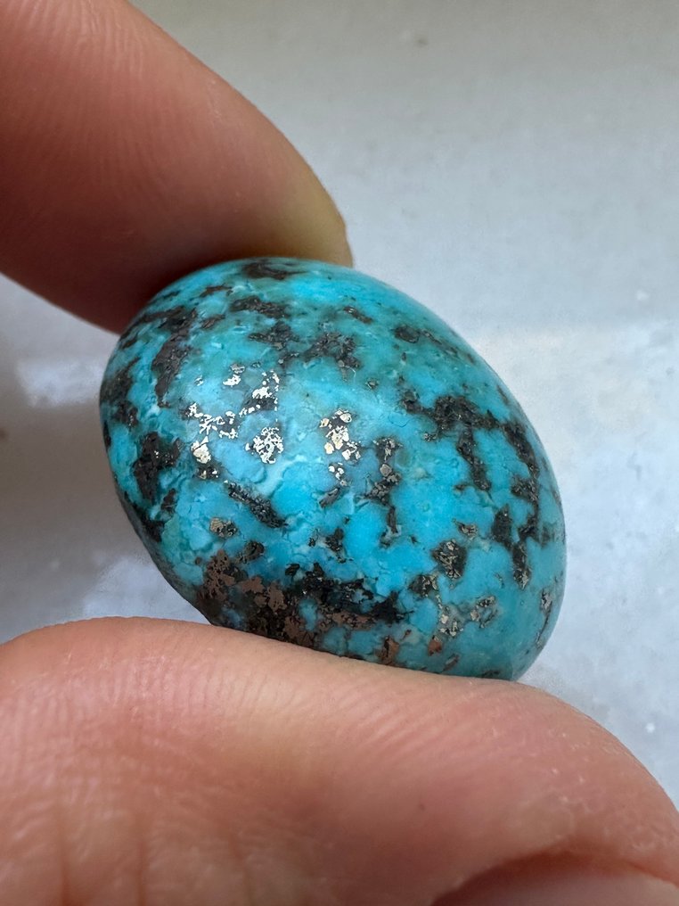 Turquoise Real Gem! Top Color Neishabour Turquoise 53,10 Ct. Large Wonderful Piece. Gem Quality! - Height: 24 mm - Width: 20 mm- 10.62 g #1.0