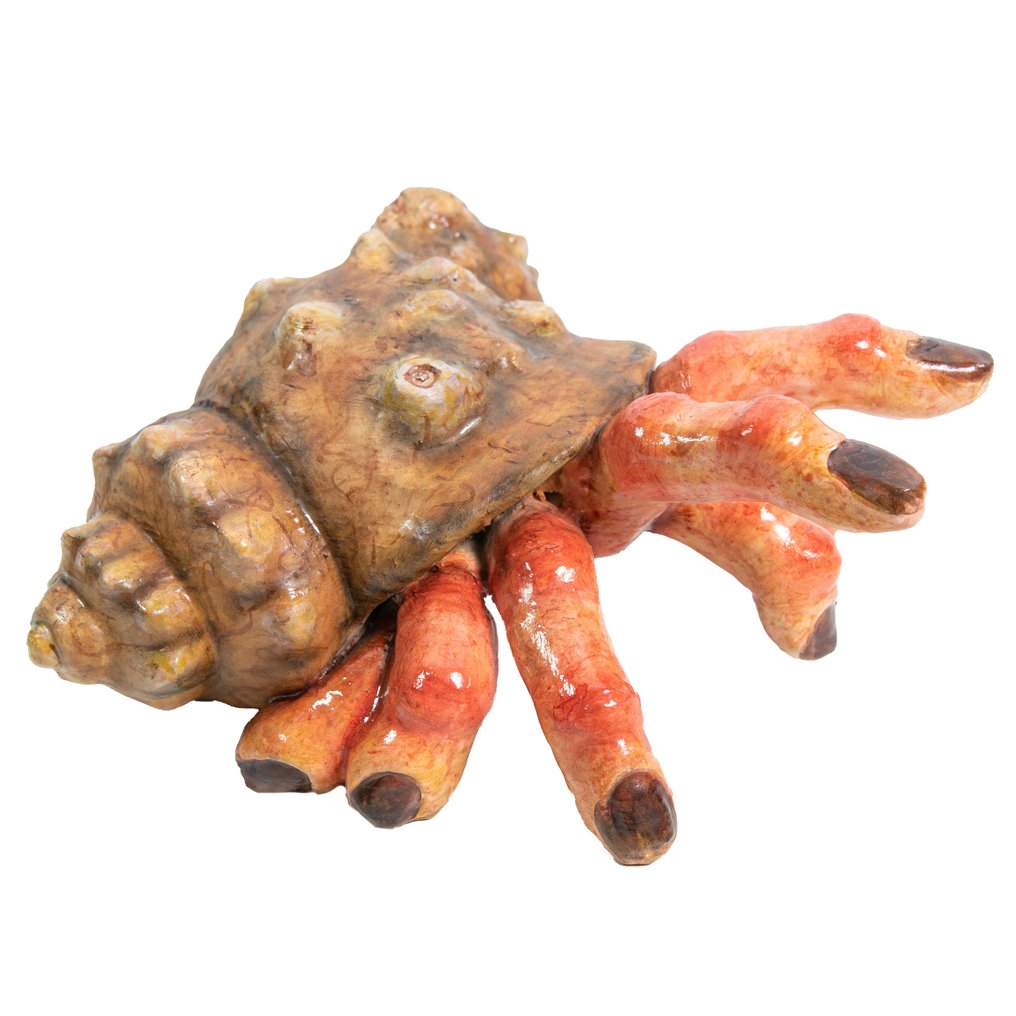 Anatomical model - Resin - 2025 - Chimera's hand of the sea #1.0