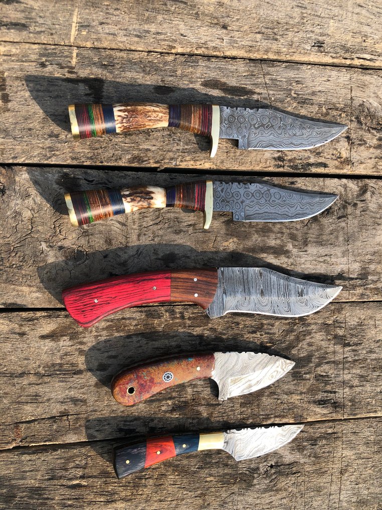 厨刀 - 著名的手工制作Skinners刀，锻钢，鹿角，木材及稀有柄 - 北美 - 皮套（A44） #1.0