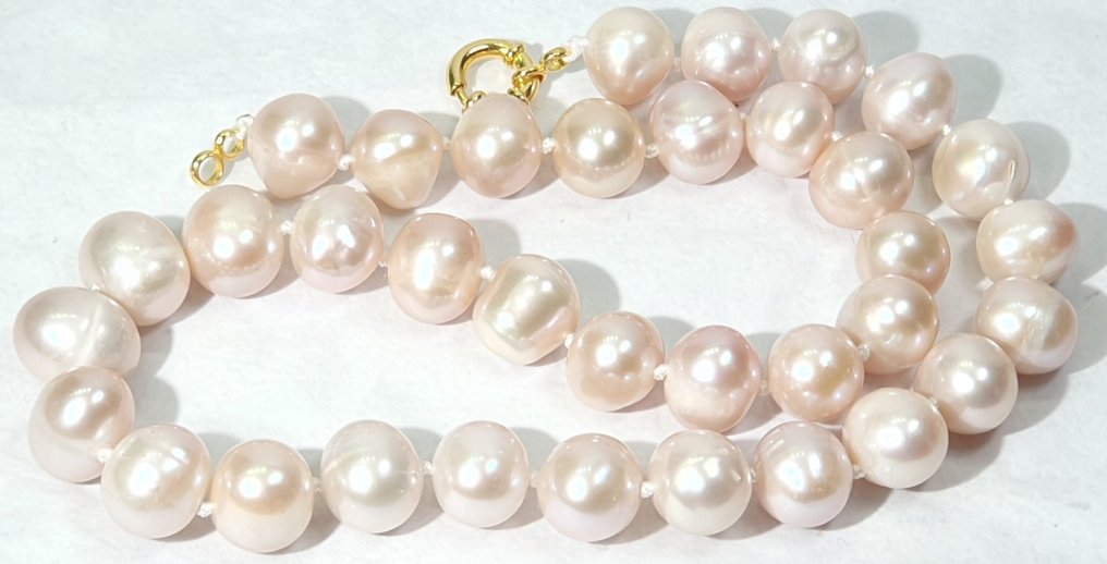 Natuurlijke roze parels, zoet water - ZEER GROOT - Rust & kalmte - 925 zilver met vergulding - Halsketting #1.0