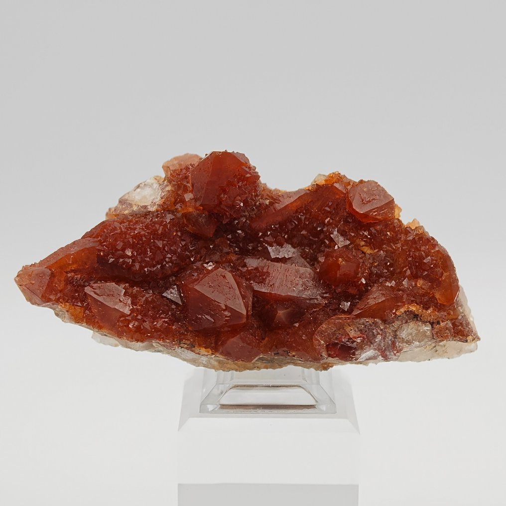 CACTUS 由红血玉石组成,优雅 矩陣晶體 - 高度: 105 mm - 闊度: 47 mm- 127 g - (1) #1.0