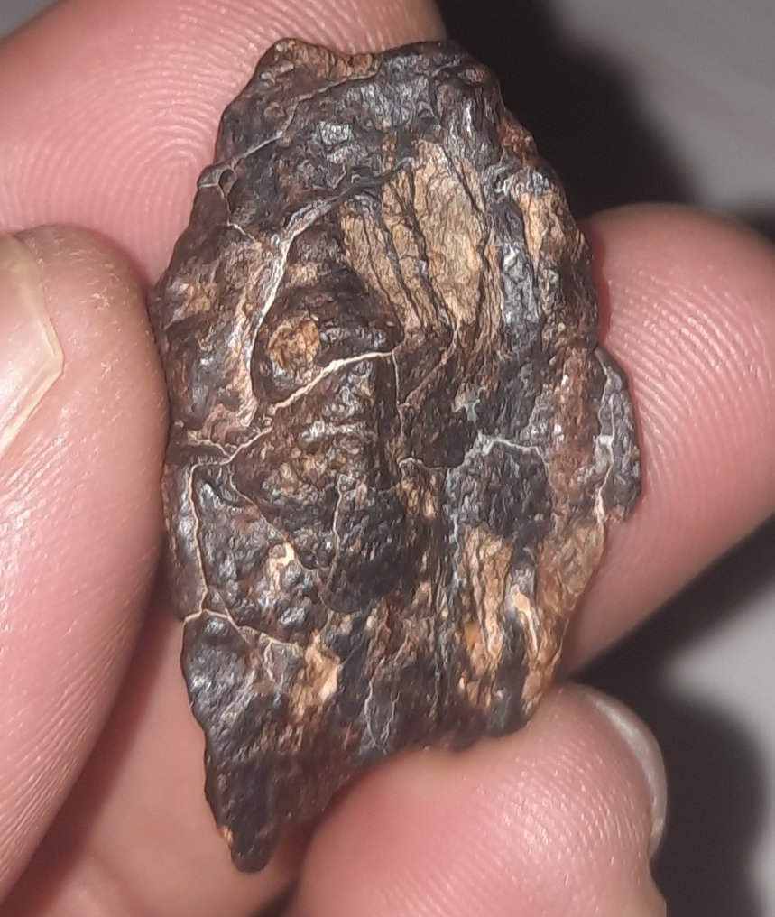 Unclassified Pallasite Stony-Iron Meteorite - Height: 20 cm - Width: 19 cm - 10.2 g - (1) #4.3