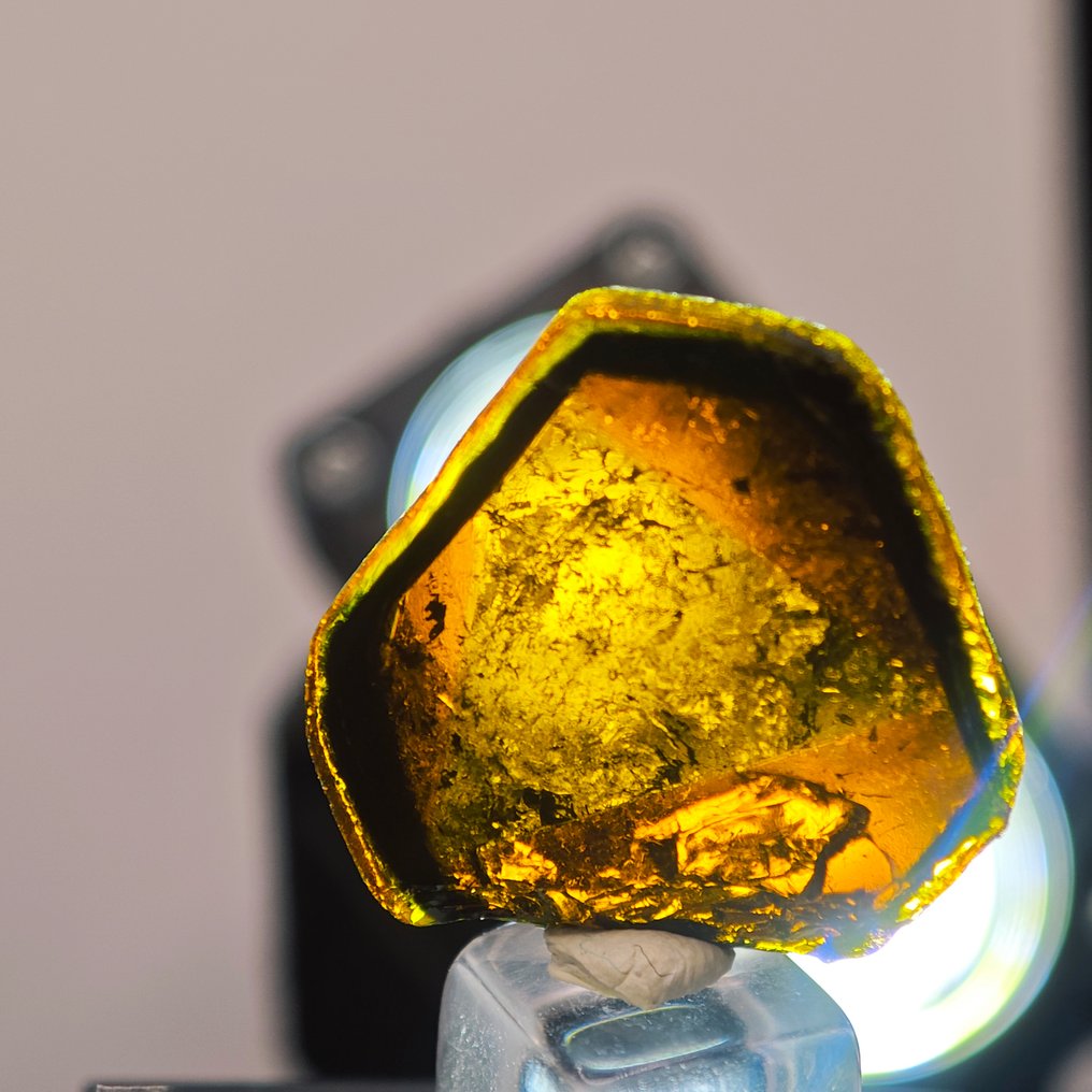 12,25 ct TOP Nagy sárga háromszög turmalin lap- 2.45 g #1.0