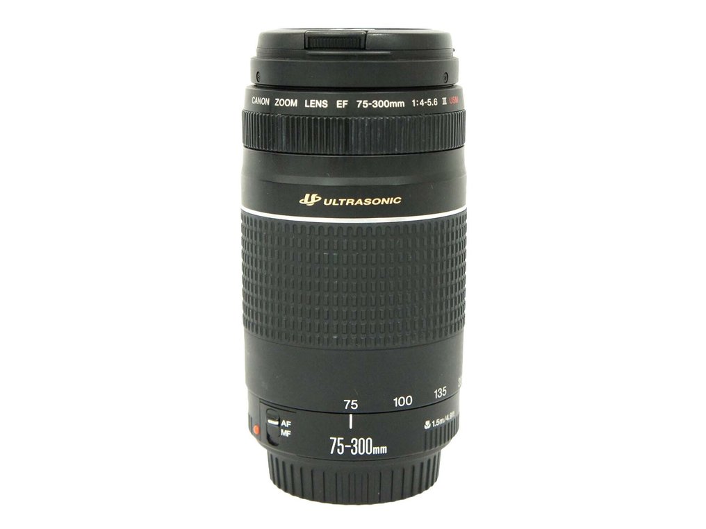 Canon EF 75-300mm 1:4-5.6 III USM Telelens #1.0
