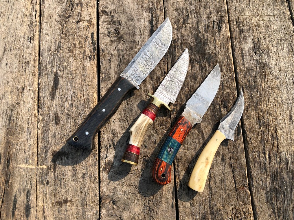 厨刀 - 著名的手工制作Skinners刀，锻钢，鹿角和稀有手柄 - 北美 - 皮套 A71 #3.2