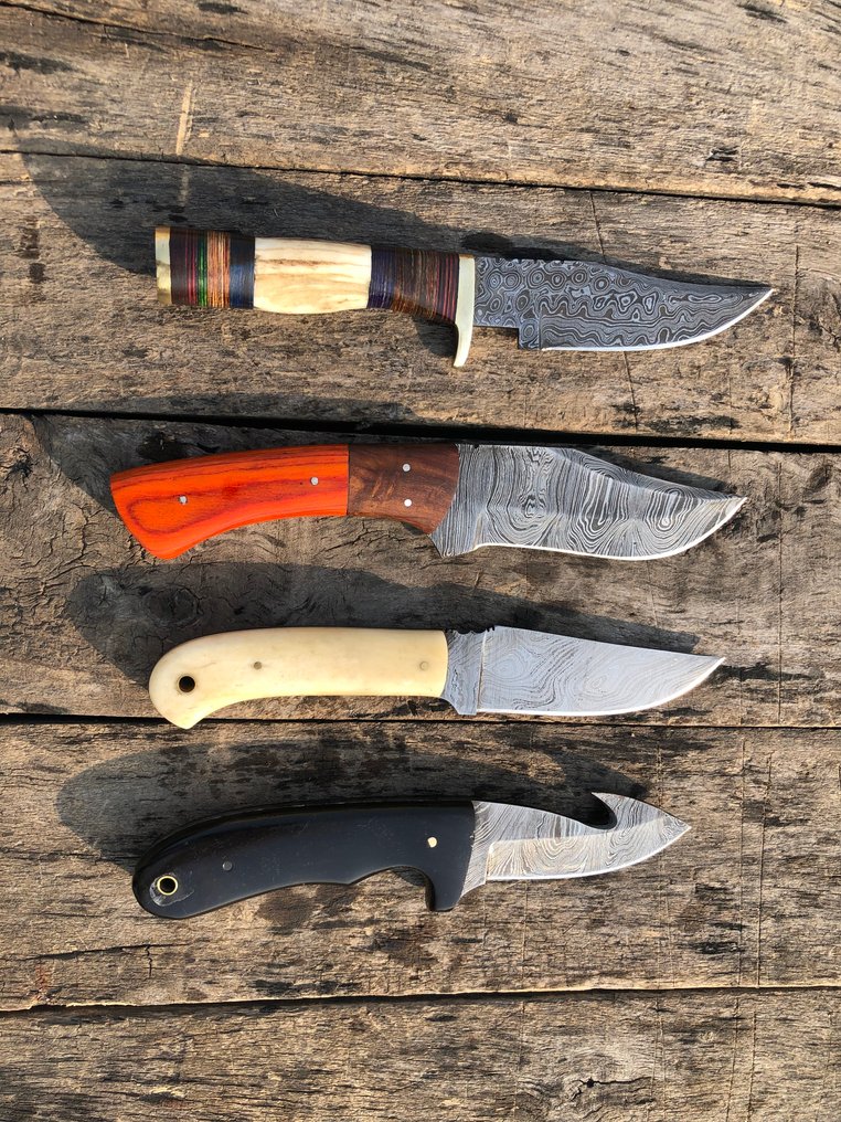 厨刀 - 著名的手工制作Skinners刀，锻钢，鹿角和稀有手柄 - 北美 - 皮革鞘（A22） #1.0